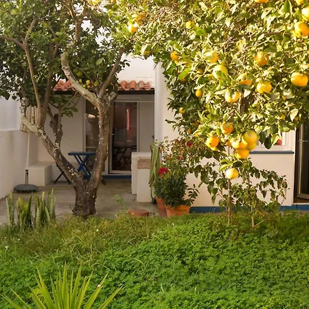 Lemon Tree House By Stay In Alentejo Vila Nova de Milfontes Exterior photo